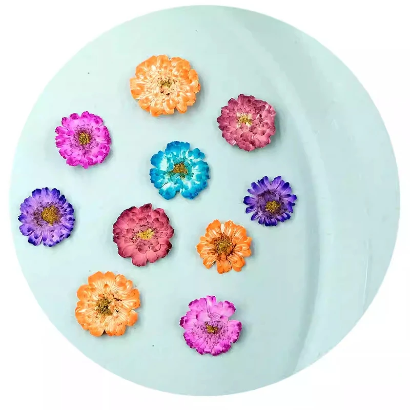 12pcs/1-2cm,Pressed Daisy Cham - Phone Accessories Baby ulasan dan harga